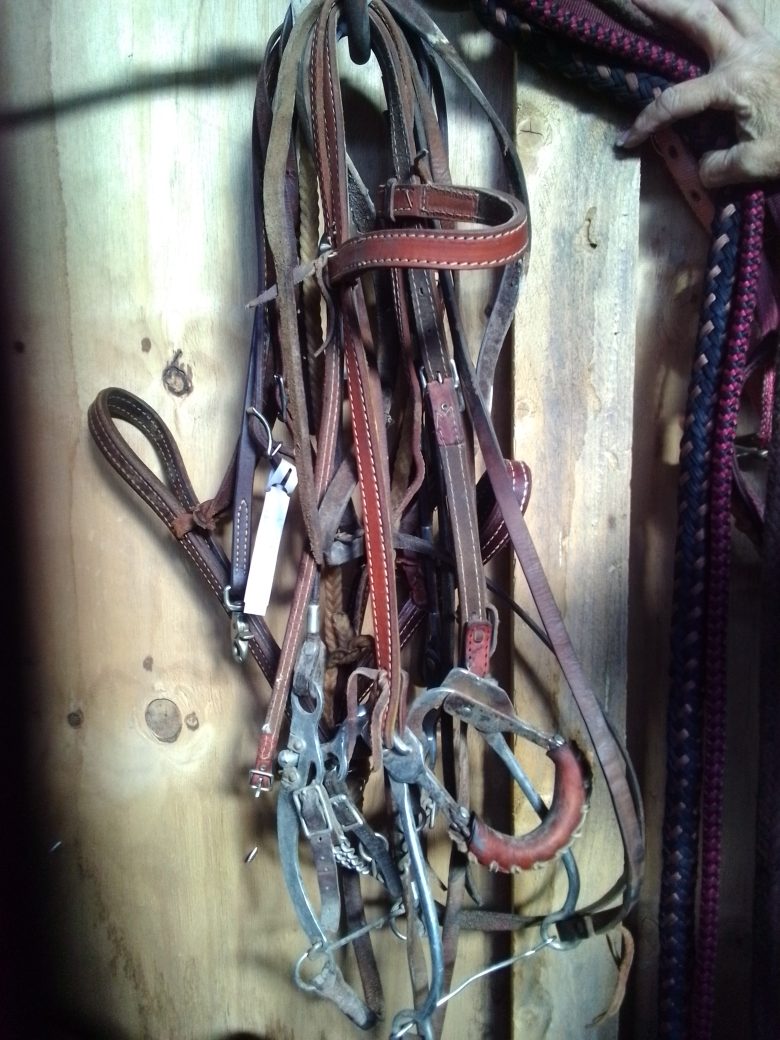 Noseband Lot