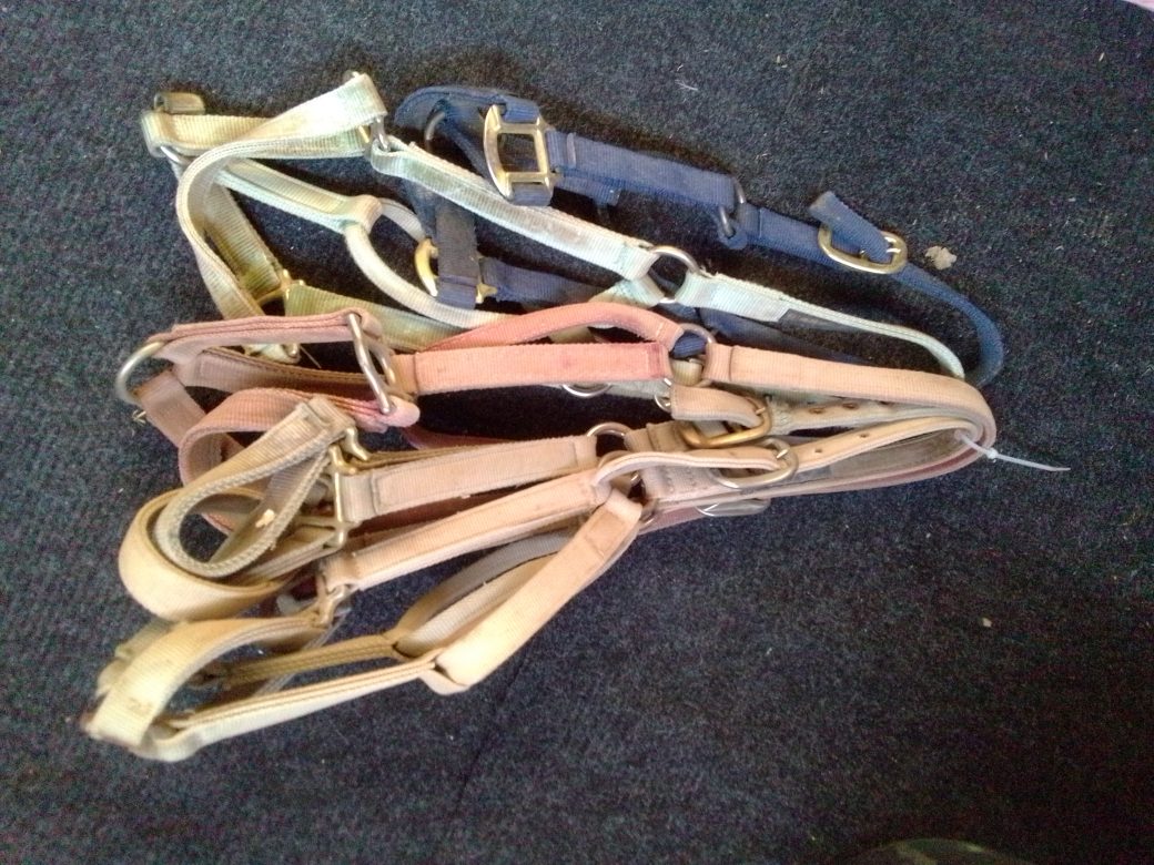 5 Halters
