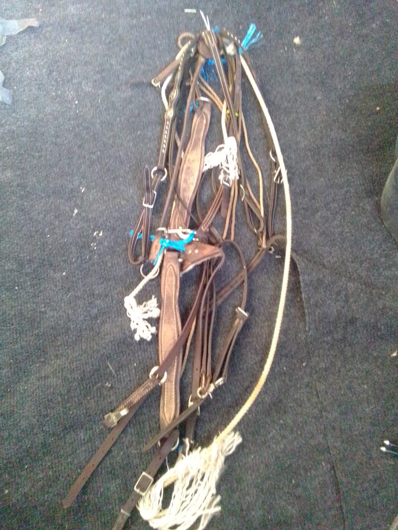 Breast Collar Lot