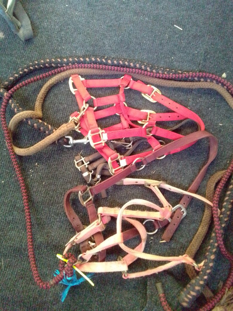 5 Halters 3 Lead Ropes