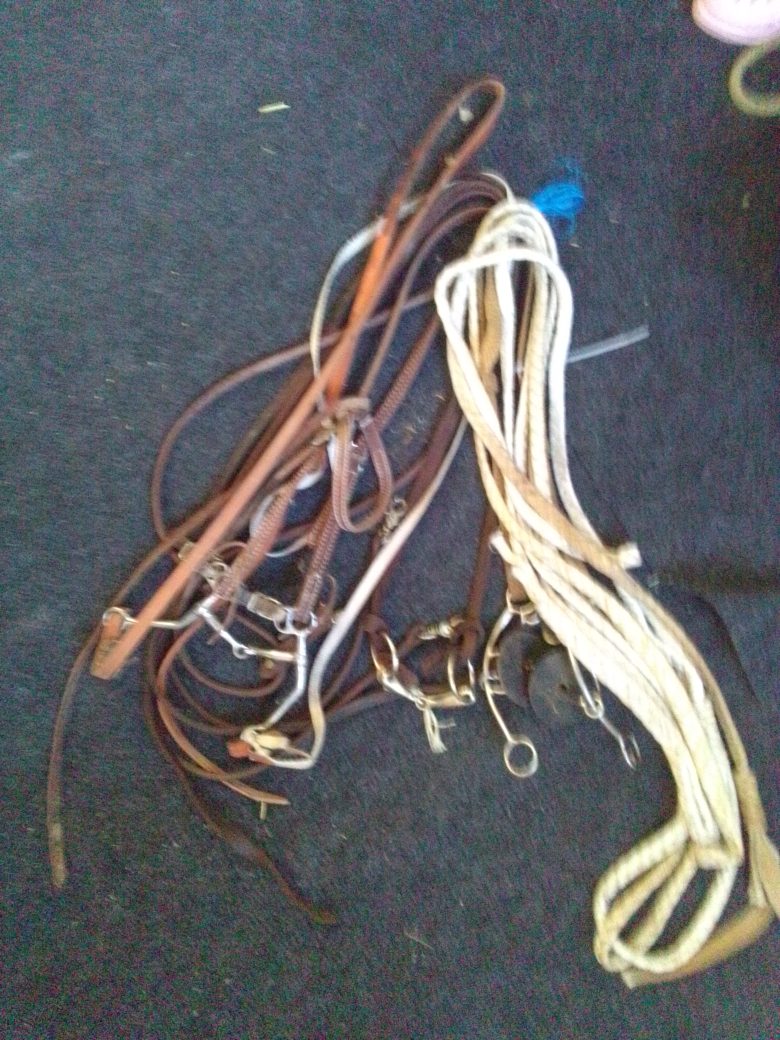 3 Bridles
