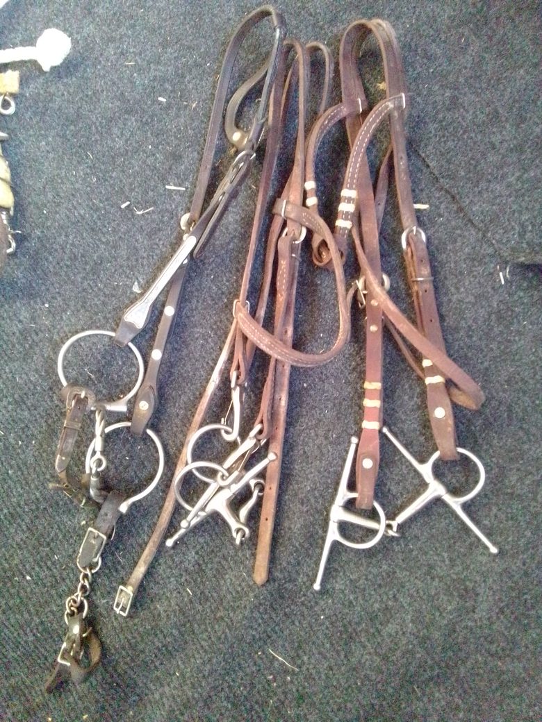 3 Headstalls W/Bits