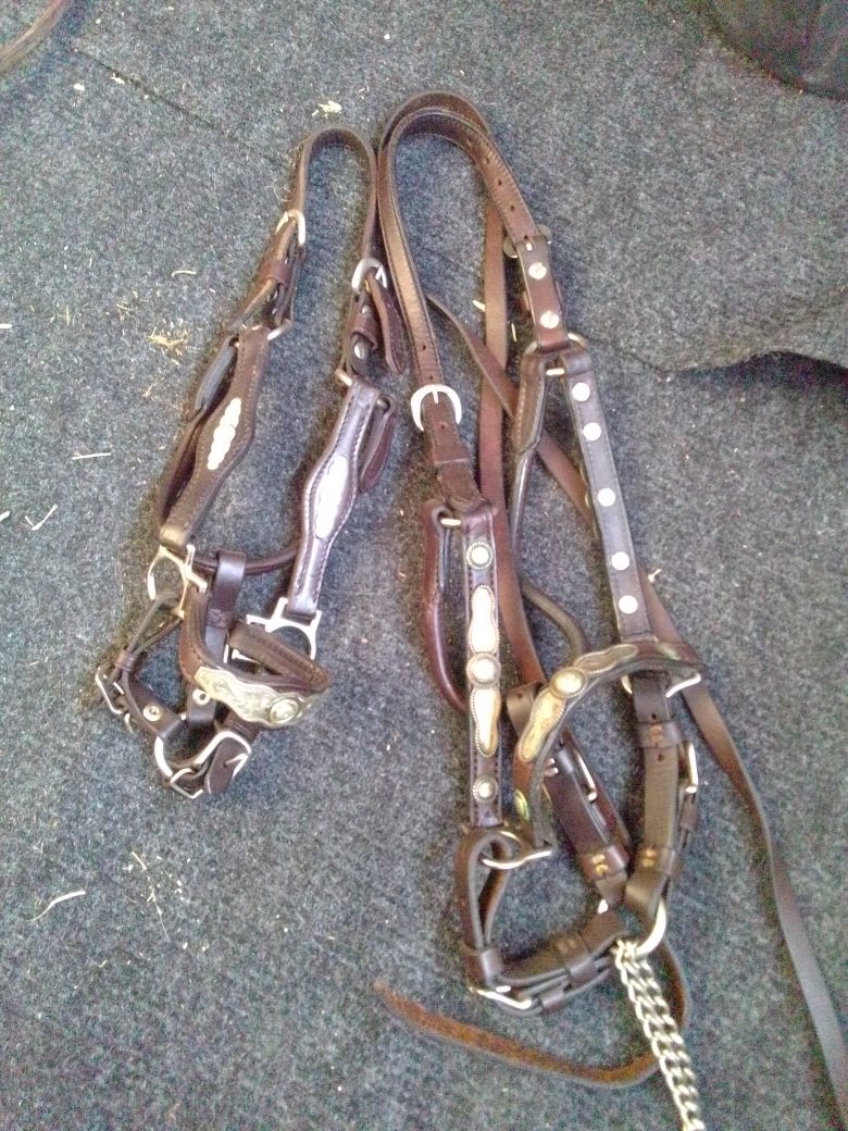 2 Show Halters