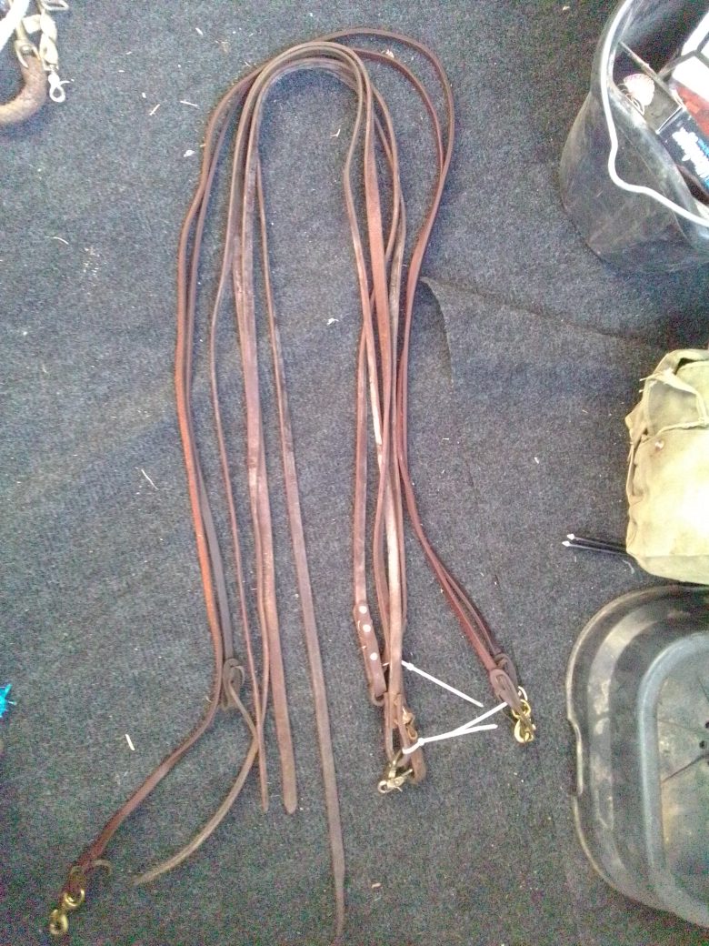 Leather Reins Lot