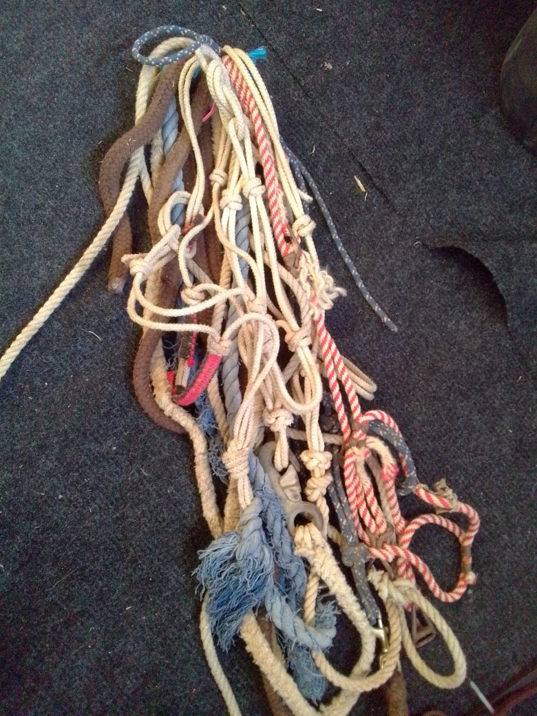 Rope Halter Lot
