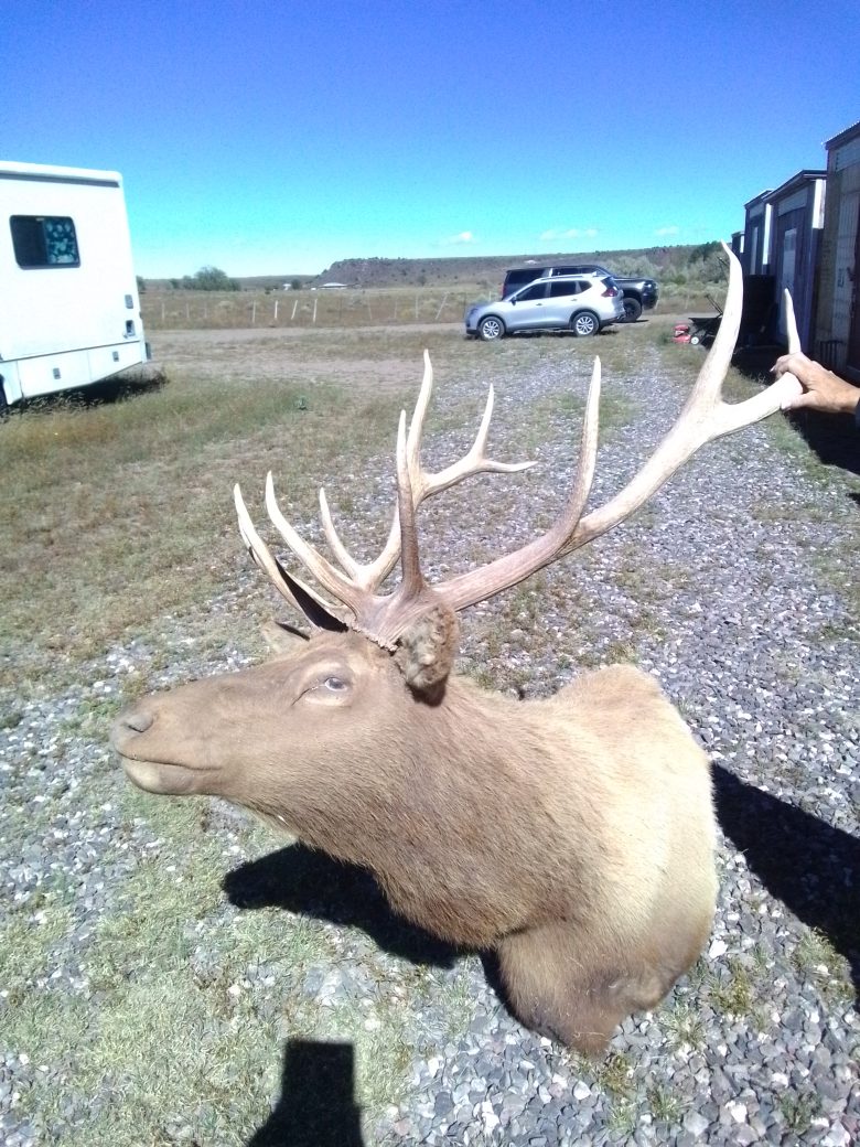Elk Mount