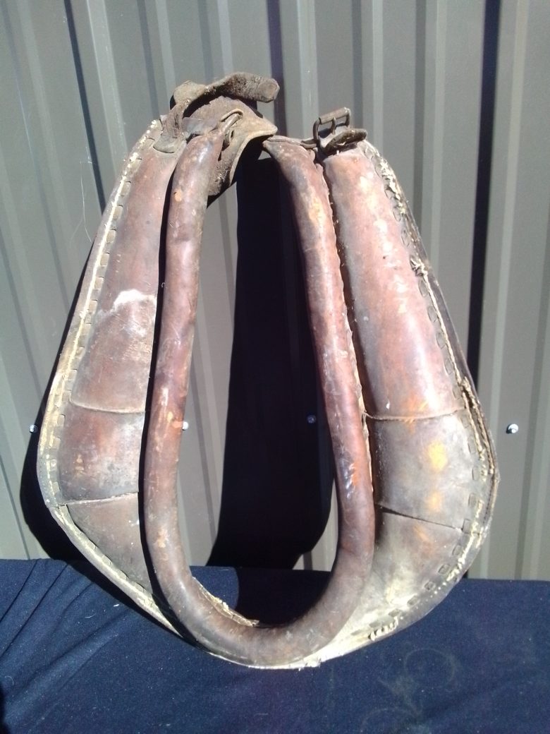Horse Collar 21"